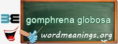 WordMeaning blackboard for gomphrena globosa